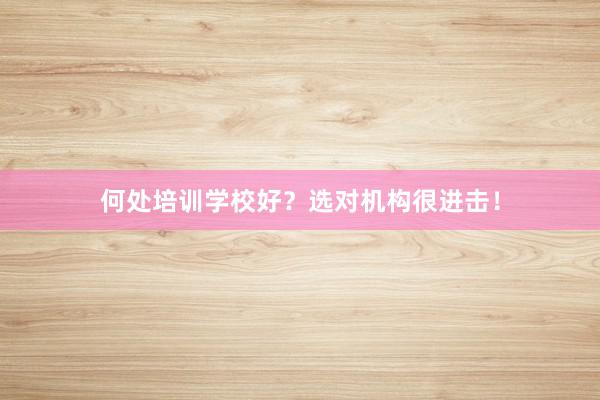 何处培训学校好？选对机构很进击！